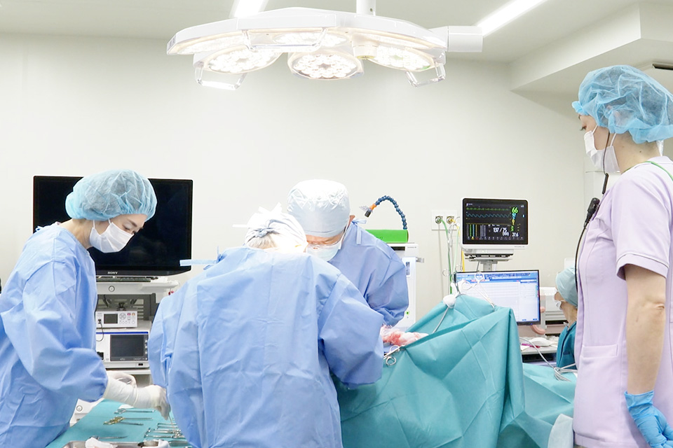 手術の様子
